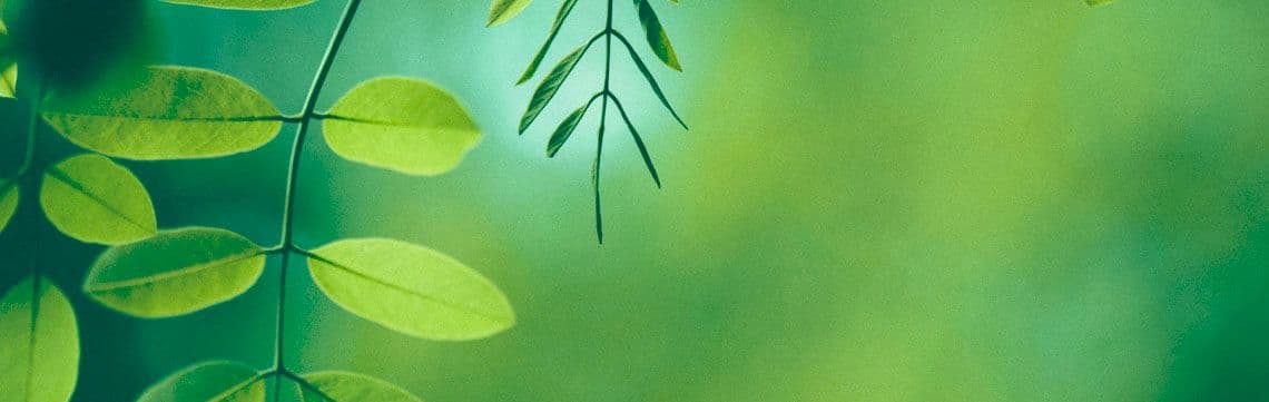 FranceTV Publicité creates a responsible territory for business communication